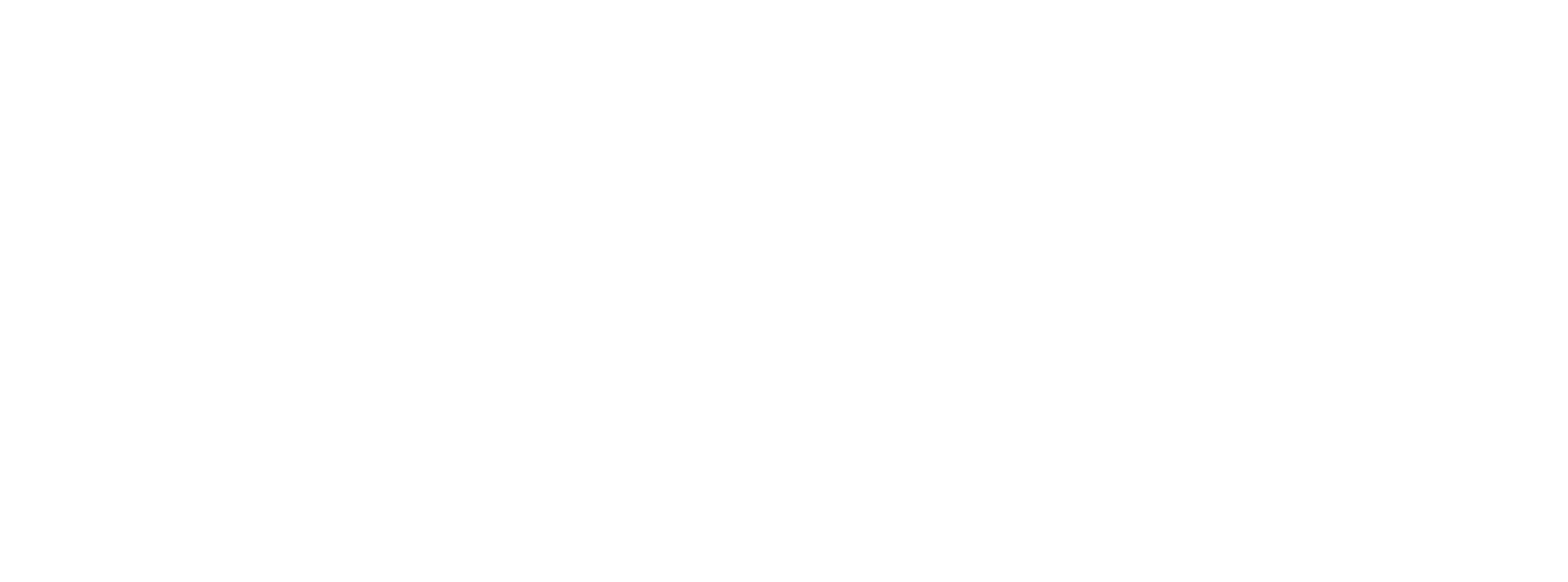 Alina Logo White